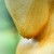 Ed_Elliottfeatured.